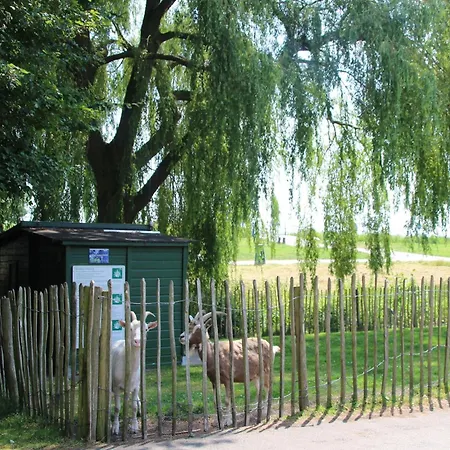 Premium 4 Persons Zevenhuizen (Zuidplas)